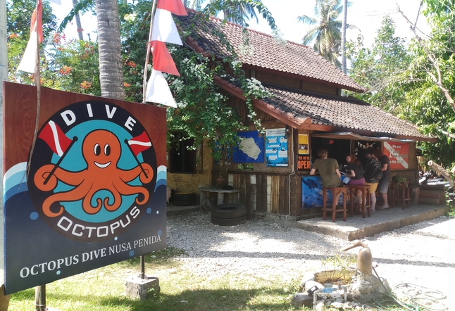 things to do in nusa penida